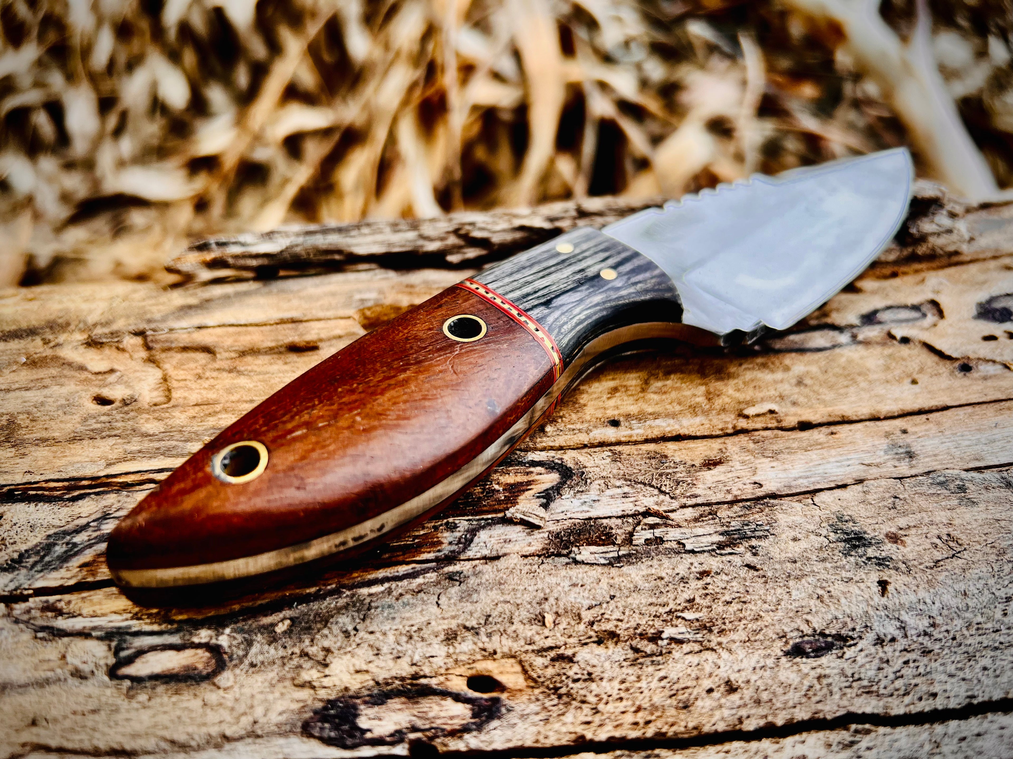 3-piece caping and skinning knife set with rosewood handles
