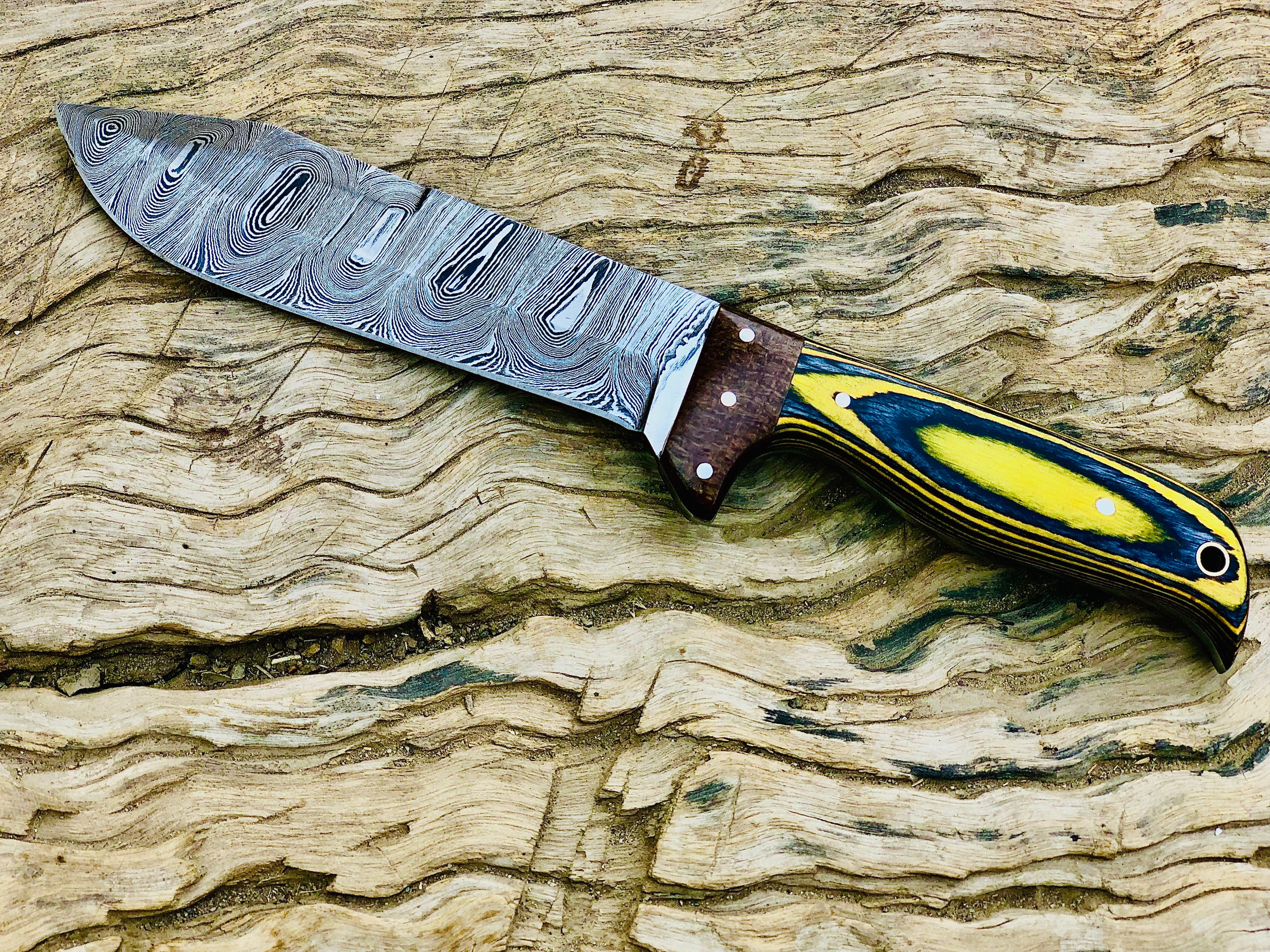 Timberline Damascus fixed-blade hunting knife with striped wood handle