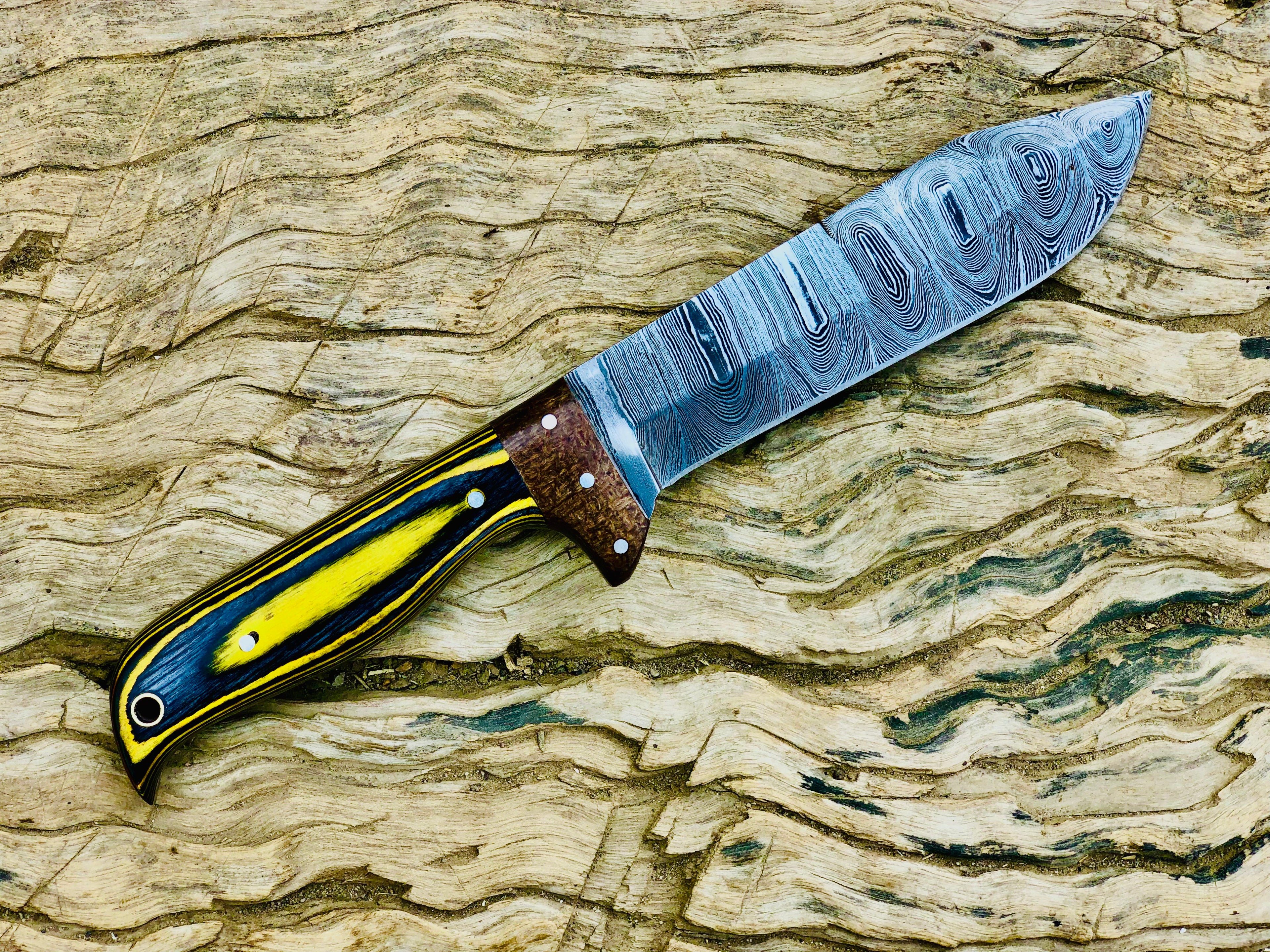 Timberline Damascus fixed-blade hunting knife with striped wood handle